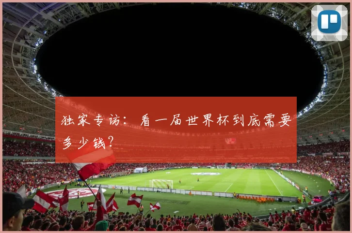 独家专访:看一届世界杯到底需要多少钱?