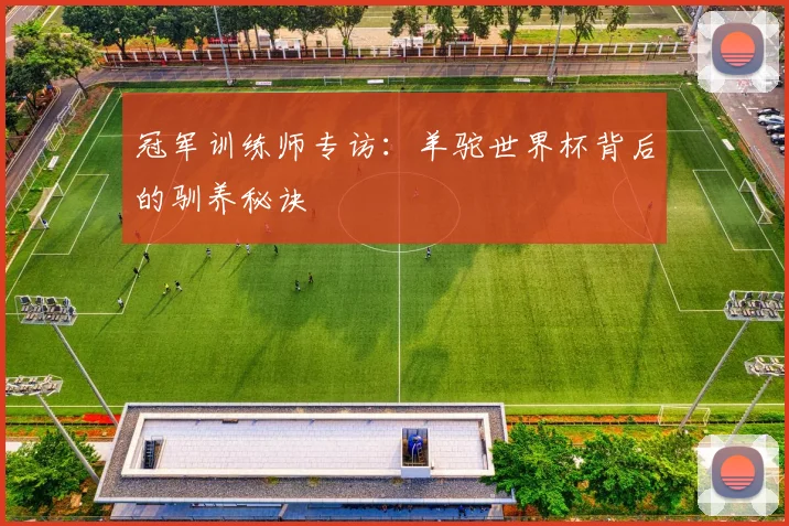 冠军训练师专访：羊驼世界杯背后的驯养秘诀
