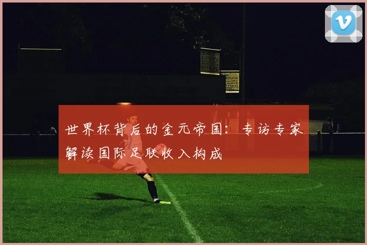 世界杯背后的金元帝国：专访专家解读国际足联收入构成