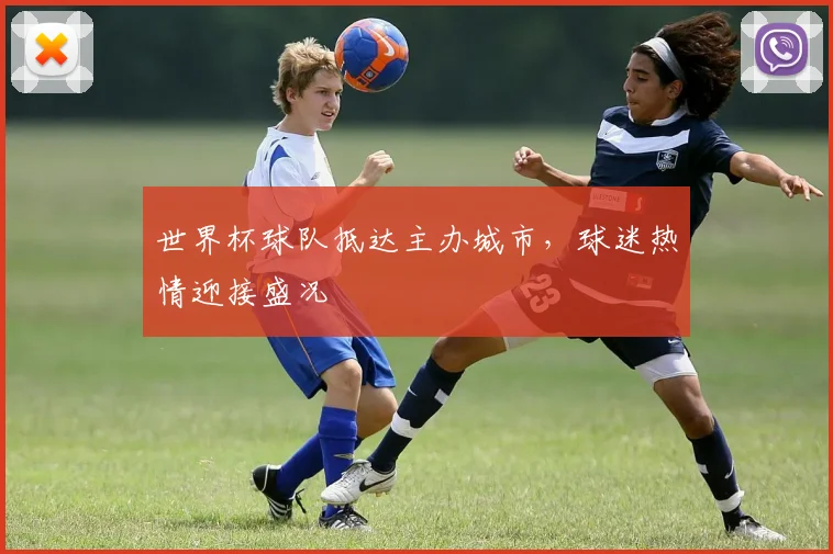 世界杯球队抵达主办城市,球迷热情迎接盛况