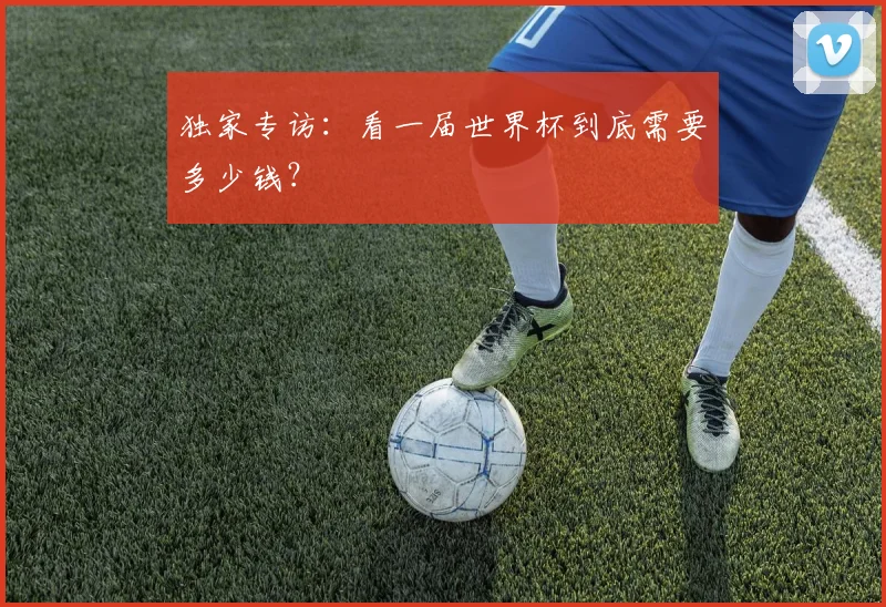 独家专访:看一届世界杯到底需要多少钱?