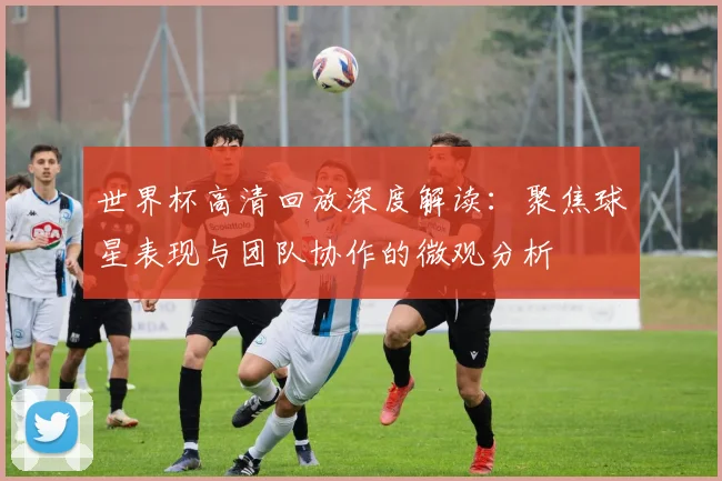 世界杯高清回放深度解读：聚焦球星表现与团队协作的微观分析