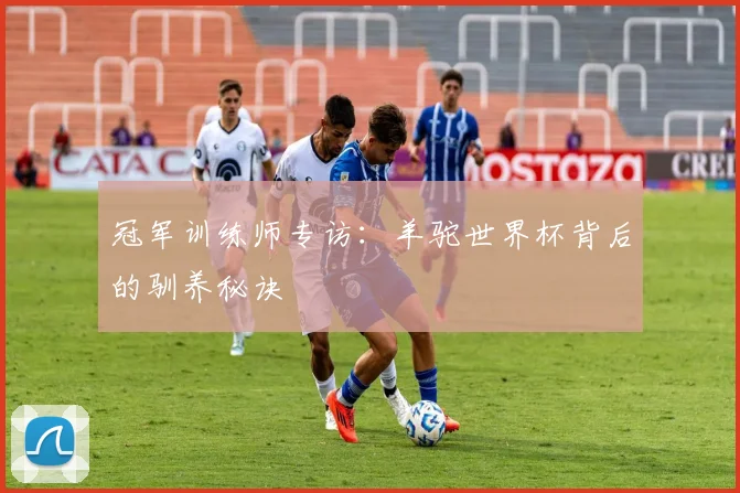 冠军训练师专访：羊驼世界杯背后的驯养秘诀