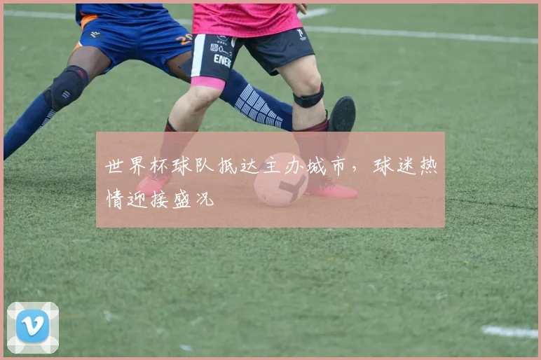 世界杯球队抵达主办城市,球迷热情迎接盛况